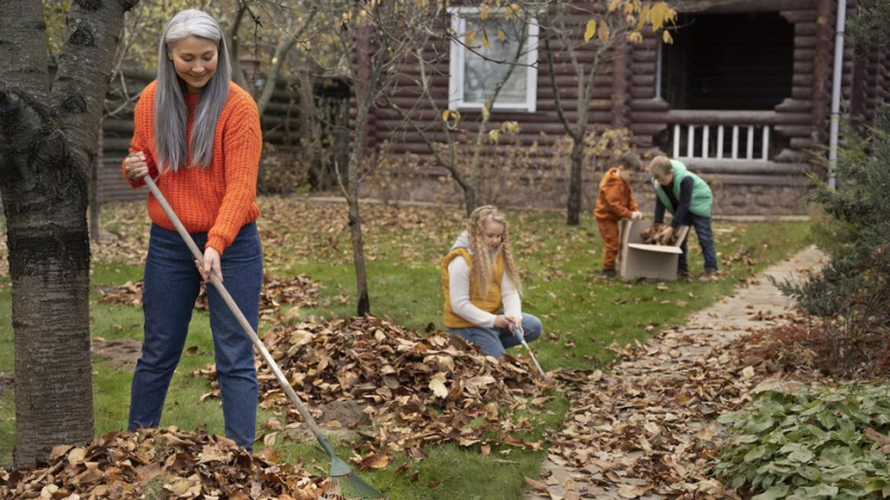 Готовим дачный участок к зимнему сезону: 5 практичных советов для быстрой уборки сада и дома