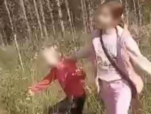 «Нравится власть над маленькими»: в Нижегородской области группа девочек-подростков избивает детей на камеру