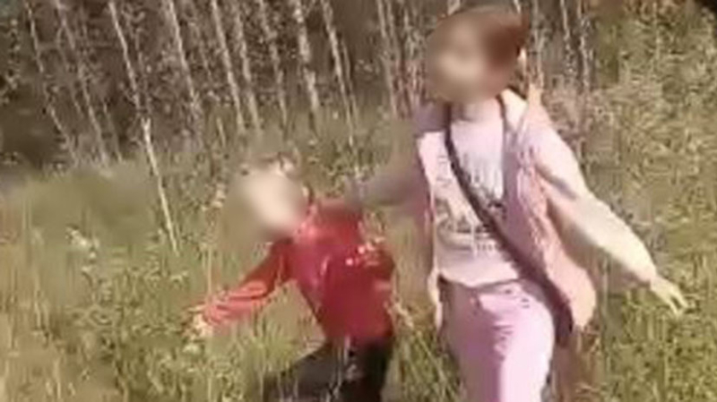 «Нравится власть над маленькими»: в Нижегородской области группа девочек-подростков избивает детей на камеру «Нравится власть над маленькими»: в Нижегородской области группа девочек-подростков избивает детей на камеру