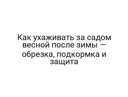 Как ухаживать за садом весной после зимы — обрезка, подкормка и защита
