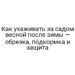 Как ухаживать за садом весной после зимы — обрезка, подкормка и защита