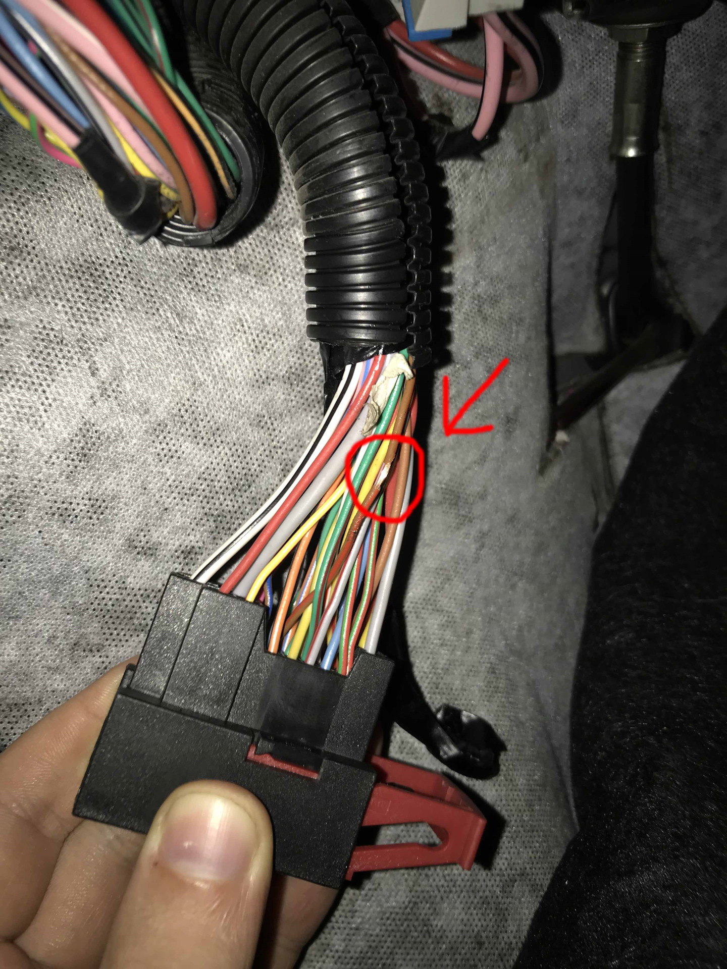 SOS! Центральный замок и Магнитола в отказ. - Lada Гранта, 1,6 л, 2016 года элек