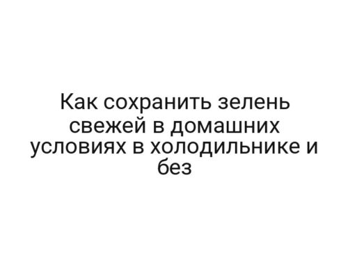 Как сохранить зелень свежей в домашних условиях в холодильнике и без