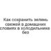Как сохранить зелень свежей в домашних условиях в холодильнике и без