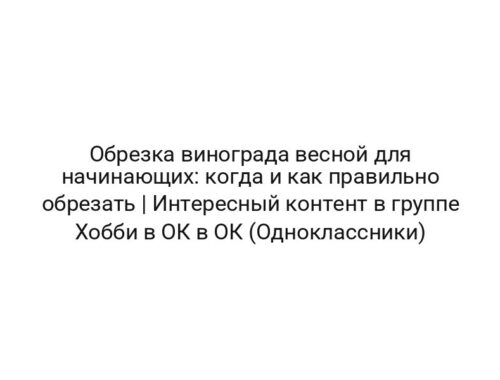 Обрезка винограда весной для начинающих: когда и как правильно обрезать | Интересный контент в группе Хобби в ОК в ОК (Одноклассники)