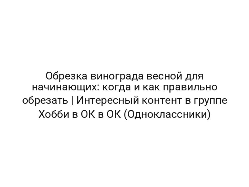 Обрезка винограда весной для начинающих: когда и как правильно обрезать | Интересный контент в группе Хобби в ОК в ОК (Одноклассники)