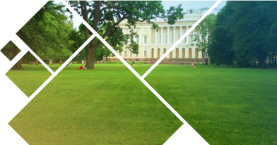 Какой газон лучше: посевной или рулонный